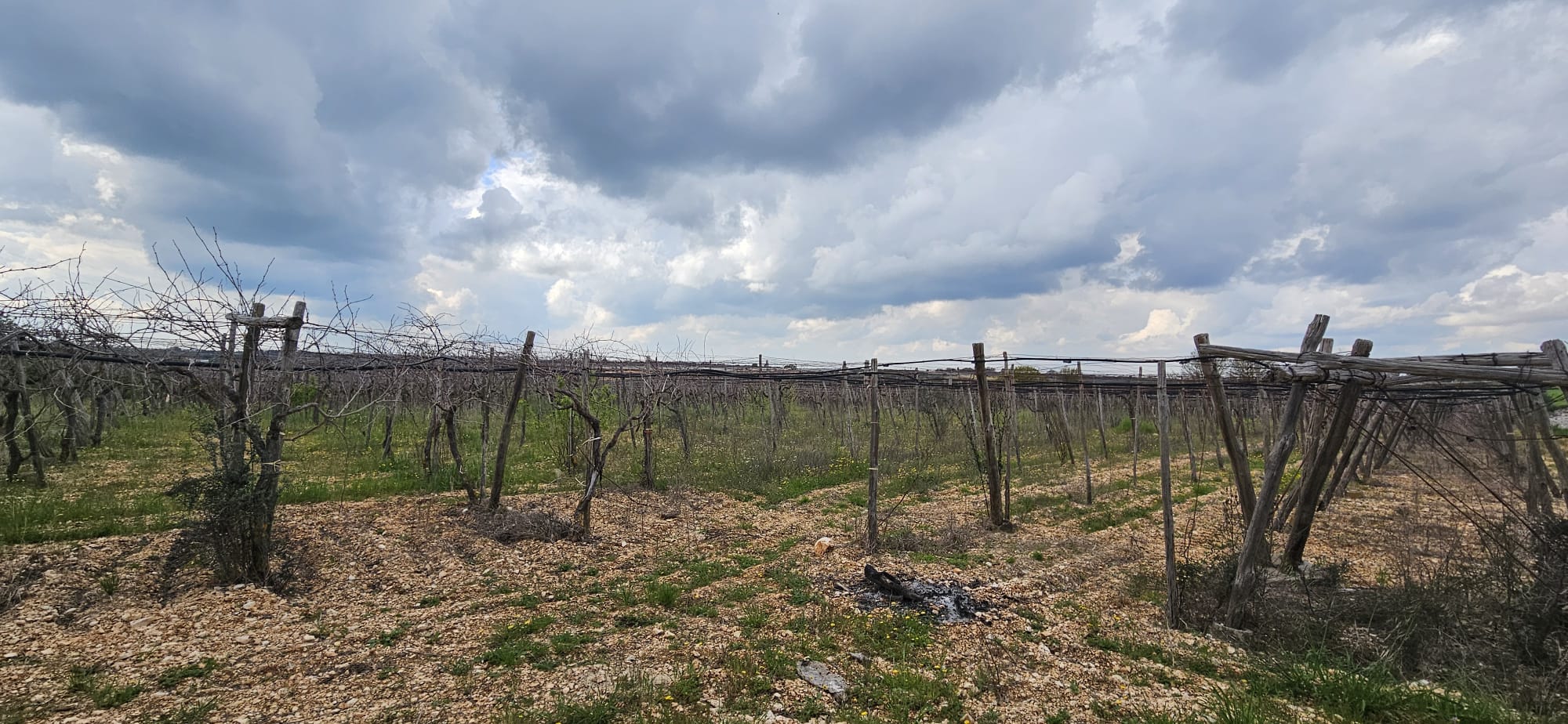 Terreno di 33.700 mq ca. con Fabbricato Rurale